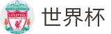 2026世界杯竞猜平台(World Cup2026)官方平台